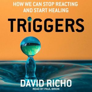 Triggers How We Can Stop Reacting and Start Healing, David Richo