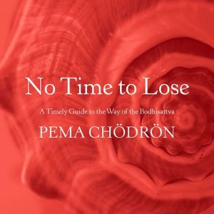 No Time to Lose: A Timely Guide to the Way of the Bodhisattva, Pema Chodron