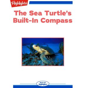 The Sea Turtles BuiltIn Compass, Sudipta Bardhan