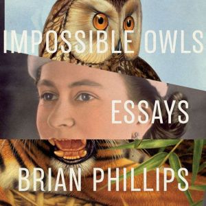 Impossible Owls, Brian Phillips