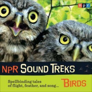 NPR Sound Treks Birds, Jon Hamilton
