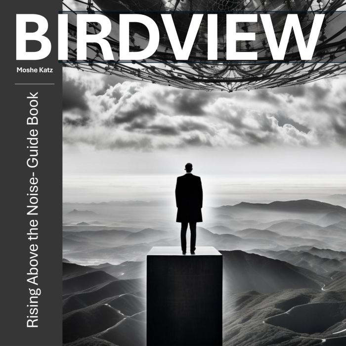 Birdview, Moshe Katz