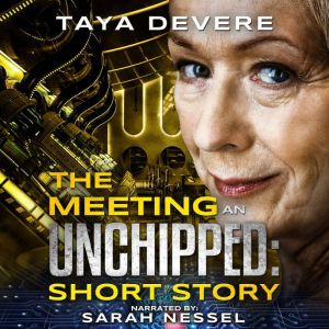 The Meeting An Unchipped Short Story..., Taya DeVere