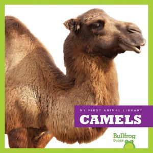 Camels, Mari Schuh