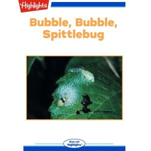 Bubble, Bubble, Spittlebug, Beverly J. Letchworth