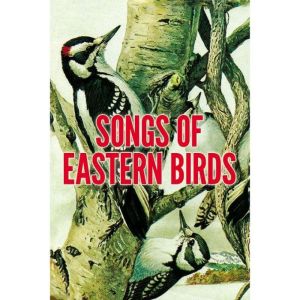 Songs of Eastern Birds, Donald J. Borror