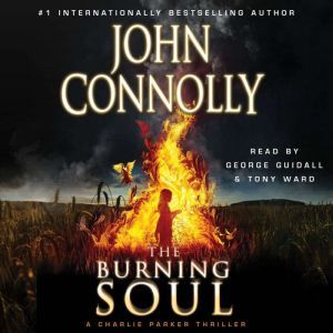 Burning Soul, John Connolly