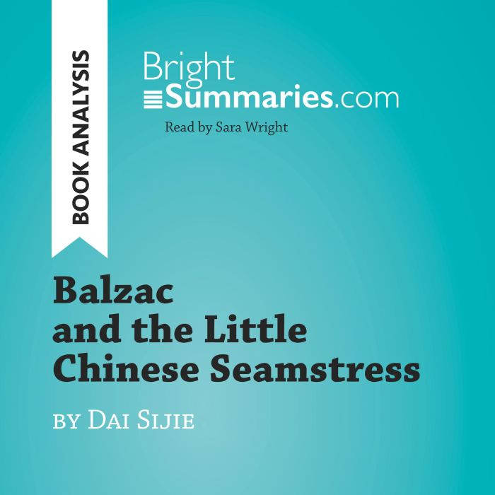 Balzac and the Little Chinese Seamstr..., Bright Summaries