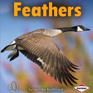 Feathers, Jennifer Boothroyd