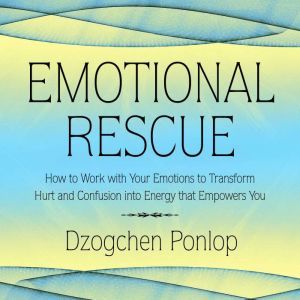 Emotional Rescue: How to Work with Your Emotions to Transform Hurt and Confusion into Energy that Empowers You