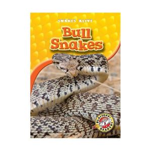 Bull Snakes, Ellen Frazel