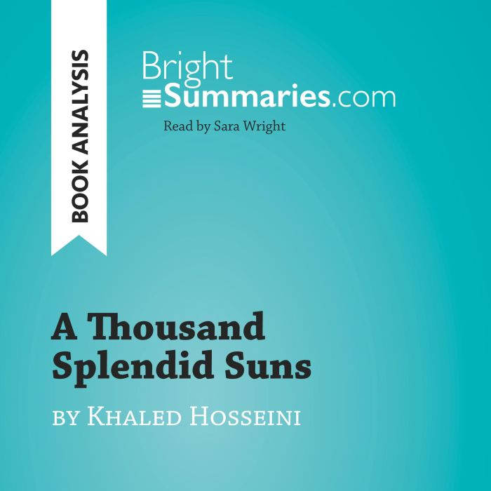 A Thousand Splendid Suns by Khaled Ho..., Bright Summaries