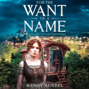 For the Want of a Name: A Young Adult Fantasy Adventure