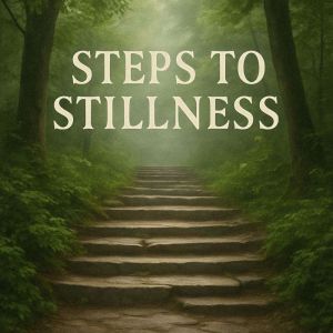 Steps to Stillness Book summary  an..., Skye Emerson