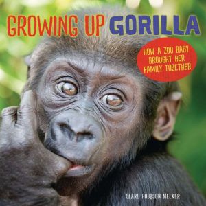 Growing Up Gorilla, Clare Hodgson Meeker