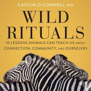Wild Rituals, Caitlin OConnell
