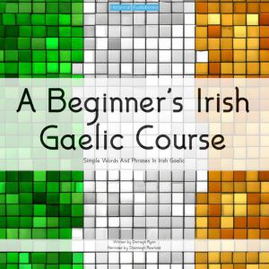 A Beginners Irish Gaelic Course, Darragh Ryan