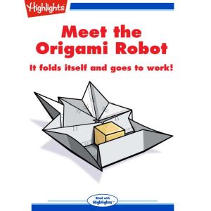 Meet the Origami Robot, Andy Boyles