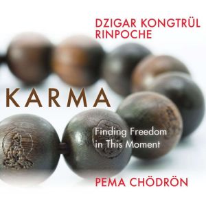 Karma: Finding Freedom in This Moment