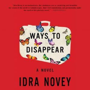 Ways to Disappear, Idra Novey