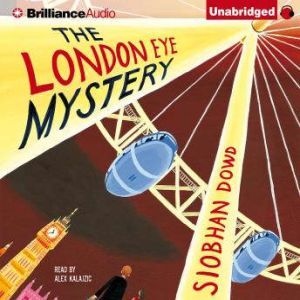 the london eye mystery by siobhan dowd
