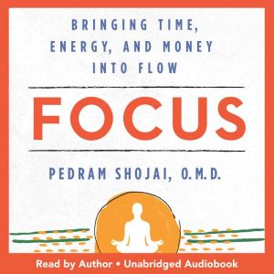 Focus: Bringing Time, Energy, and Money into Flow