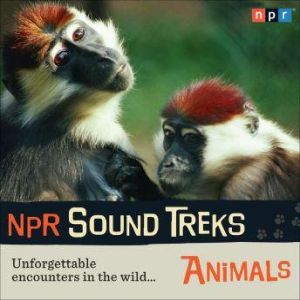 NPR Sound Treks Animals, Jon Hamilton