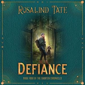 Defiance: A Romantic Time Travel Mystery