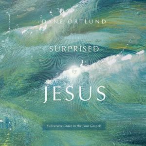Surprised by Jesus, Dane Ortlund