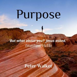 Purpose, Peter Walker