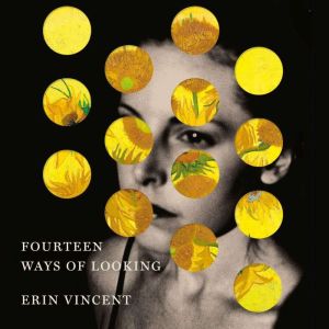 Fourteen Ways of Looking, Erin Vincent