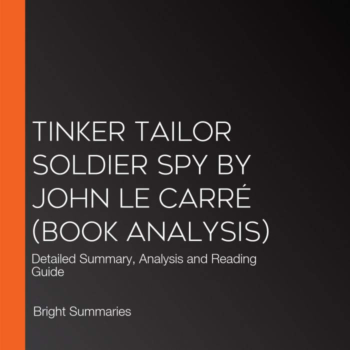 Tinker Tailor Soldier Spy by John le ..., Bright Summaries