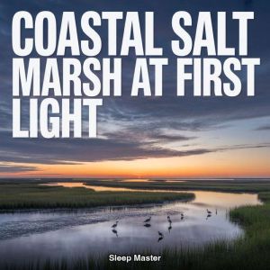 Coastal Salt Marsh at First Light, Sleep Master