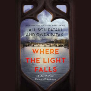 Where the Light Falls, Allison Pataki