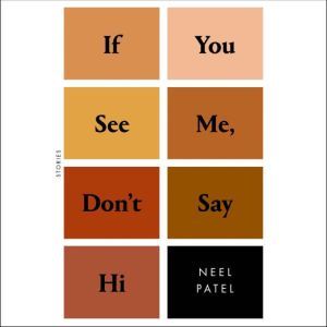 If You See Me, Don't Say Hi: Stories