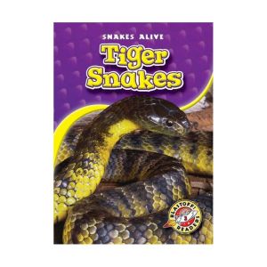 Tiger Snakes, Ellen Frazel