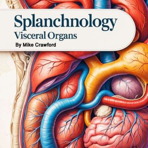 Splanchnology: Visceral Organs