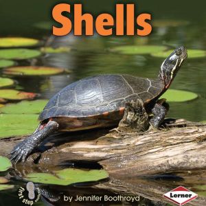 Shells, Jennifer Boothroyd