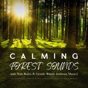 Calming Forest Sounds with Relaxing Rain & Gentle Winds (without Music): Deep Sleep, Meditation, Relaxation: De-stress Or Fall