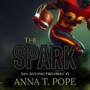 The Spark: A M/M, Enemies to lovers, Forbidden, Football Romance
