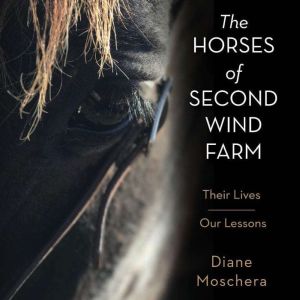 The Horses of Second Wind Farm