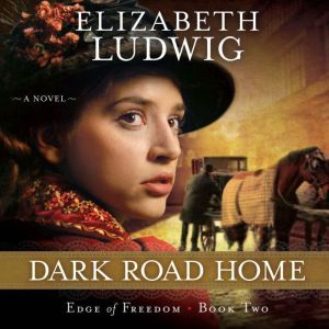 Dark Road Home, Elizabeth Ludwig