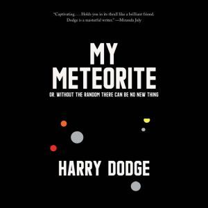 My Meteorite, Harry Dodge