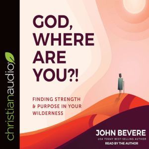 God, Where Are You?!, John Bevere