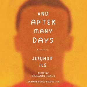And After Many Days, Jowhor Ile