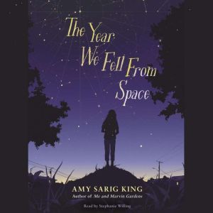 The Year We Fell from Space, Amy Sarig King