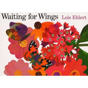 Waiting for Wings