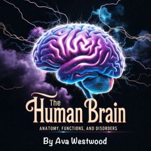 The Human Brain: Anatomy, Functions, and Disorders