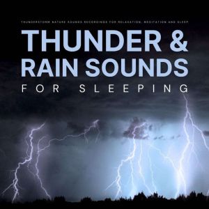 Thunder And Rain Sounds For Sleeping, Nature Sounds Recordings Natures Perfect White Noise