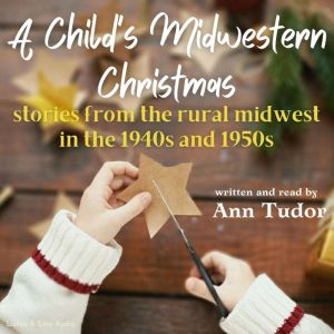 A Childs Midwestern Christmas, Ann Tudor